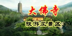 我想查看黄色操逼的视频的中国浙江-新昌大佛寺旅游风景区